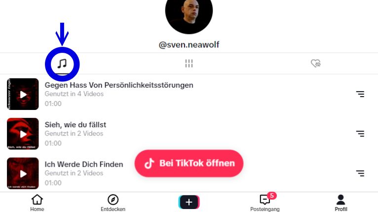 Sven Neawolf | /img/tiktok-music-teaser.jpg